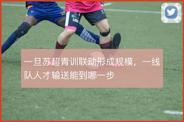 一旦苏超青训联动形成规模，一线队人才输送能到哪一步