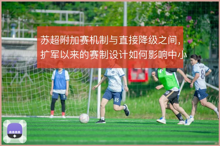 苏超附加赛机制与直接降级之间,扩军以来的赛制设计如何影响中小球队策略